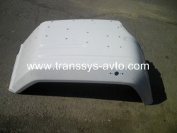 ������ ����