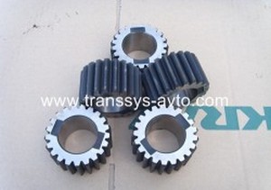 ������ �������� ����