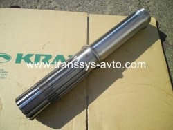 ��������� ����