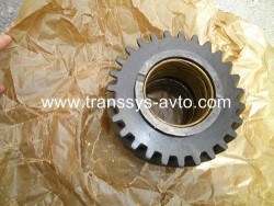 �������� ����