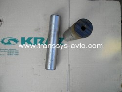 �������� ����