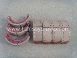 ������ ����