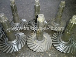 �������� ���� � �������